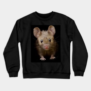 cute mouse Crewneck Sweatshirt